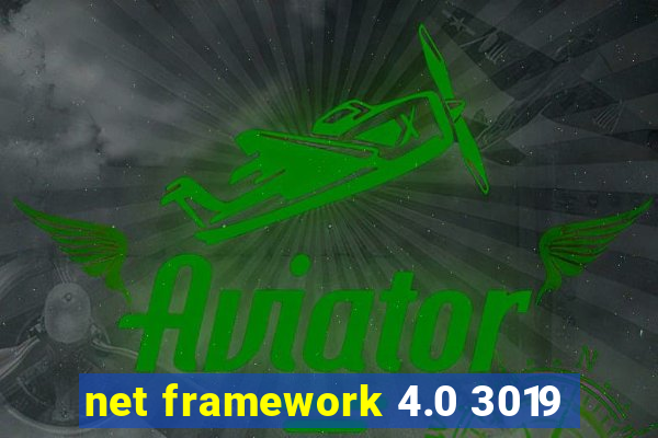 net framework 4.0 3019